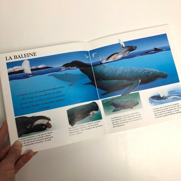 Lot livres vintage pour enfants et marionnette vintage 🦀 French Childrens Books - Picture 7 of 13